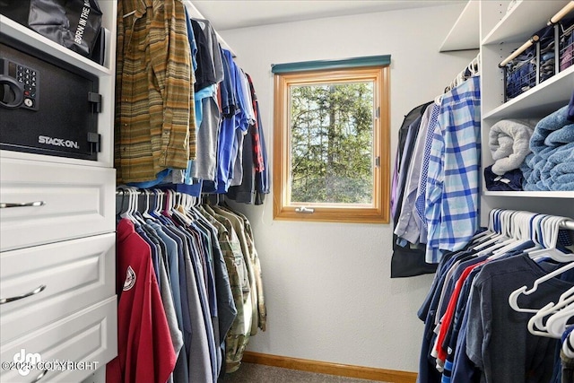 spacious closet featuring carpet