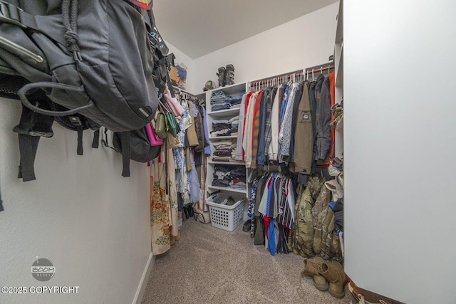 3589 N Magnolia Cir, Wasilla, AK 99654 - spacious closet featuring carpet floors