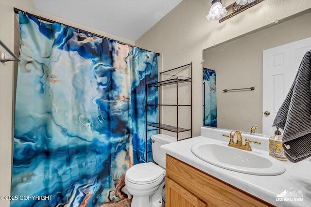 6010 Staedem Dr, Anchorage, AK 99504 - full bathroom featuring toilet, vanity, a textured wall, and a shower with shower curtain