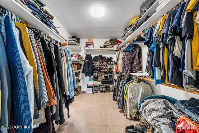 6010 Staedem Dr, Anchorage, AK 99504 - walk in closet with carpet floors