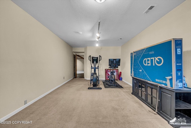 6010 Staedem Dr, Anchorage, AK 99504 - workout area with carpet flooring, baseboards, and a textured ceiling