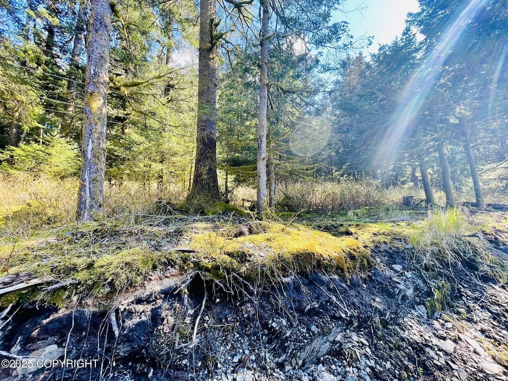 2322 Eagle Dr, Kodiak, AK 99615