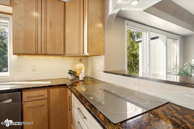 3833 Eastwind Dr, Anchorage, AK 99516 - kitchen with stainless steel dishwasher, black electric cooktop, healthy amount of natural light, and backsplash