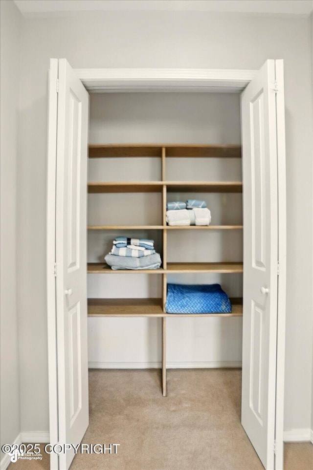 3833 Eastwind Dr, Anchorage, AK 99516 - view of closet