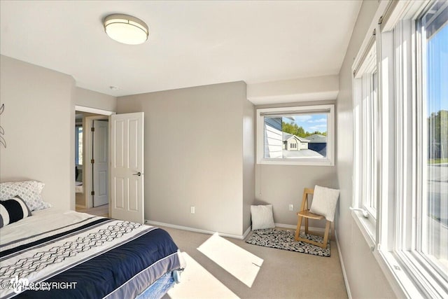 3833 Eastwind Dr, Anchorage, AK 99516 - carpeted bedroom with baseboards