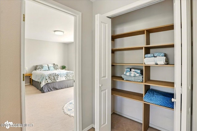 3833 Eastwind Dr, Anchorage, AK 99516 - view of closet
