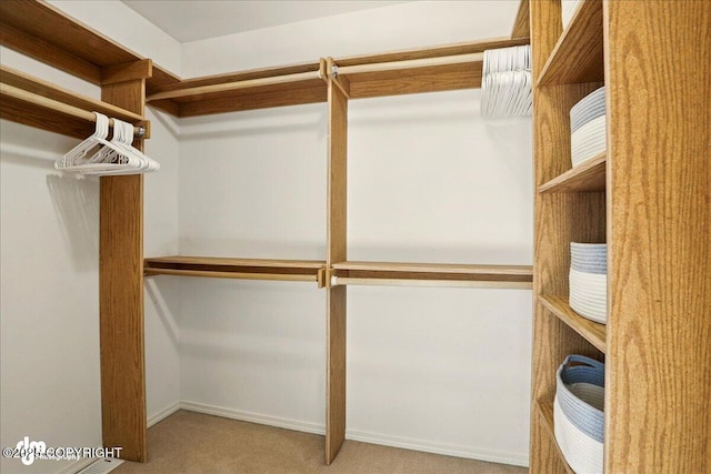 3833 Eastwind Dr, Anchorage, AK 99516 - walk in closet with carpet flooring
