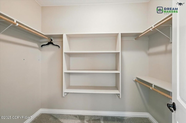 7782 W Arlie Rd, Wasilla, AK 99623 - spacious closet with carpet