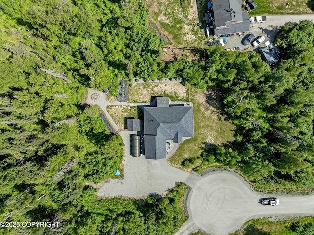 7782 W Arlie Rd, Wasilla, AK 99623 - bird's eye view