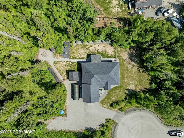 7782 W Arlie Rd, Wasilla, AK 99623 - aerial view of property and surrounding area