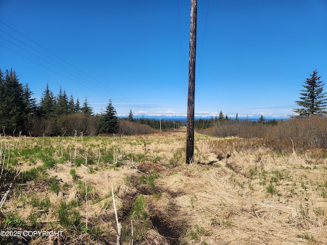 000 Misty Ridge Rd, Homer, AK 99603