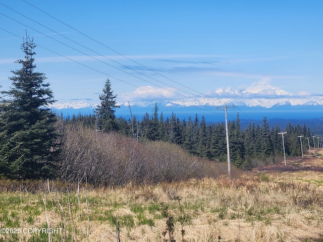 000 Misty Ridge Rd, Homer, AK 99603