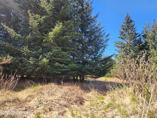 000 Misty Ridge Rd, Homer, AK 99603