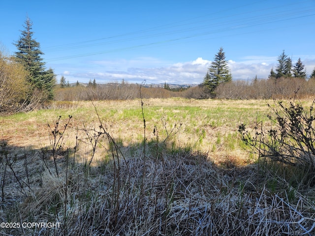 000 Misty Ridge Rd, Homer, AK 99603