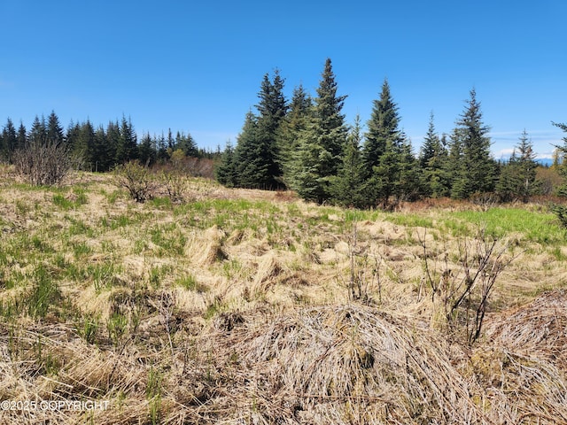 000 Misty Ridge Rd, Homer, AK 99603