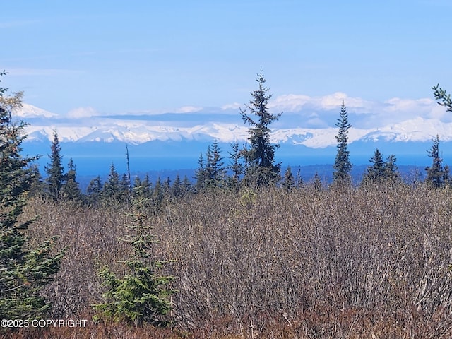 000 Misty Ridge Rd, Homer, AK 99603