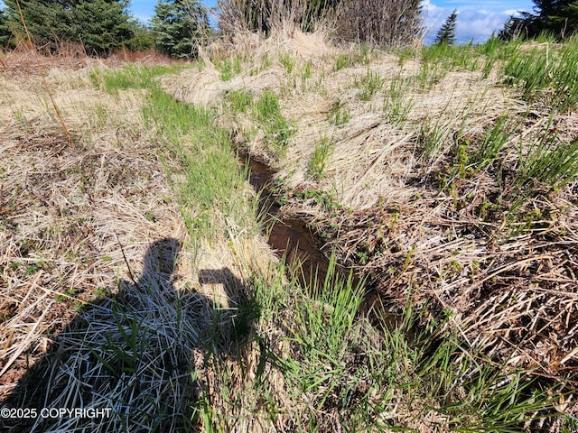 000 Misty Ridge Rd, Homer, AK 99603