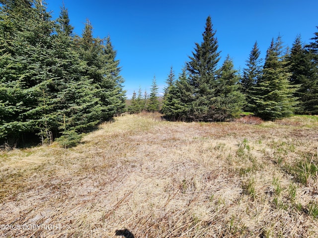 000 Misty Ridge Rd, Homer, AK 99603