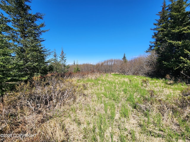 000 Misty Ridge Rd, Homer, AK 99603