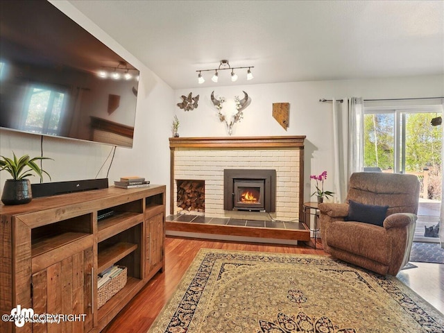living area featuring wood finished floors and a fireplace