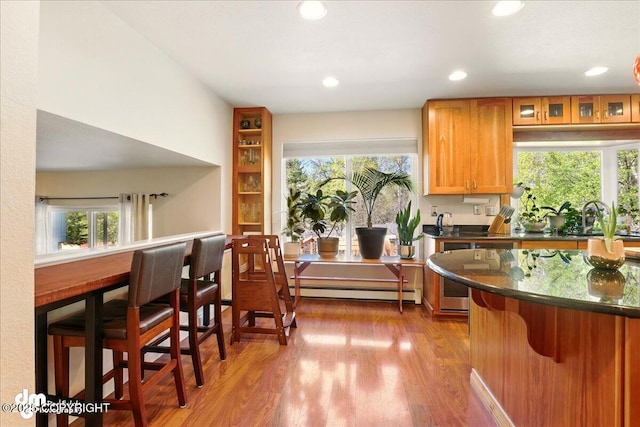 kitchen featuring wood finished floors, a sink, a baseboard heating unit, plenty of natural light, and recessed lighting