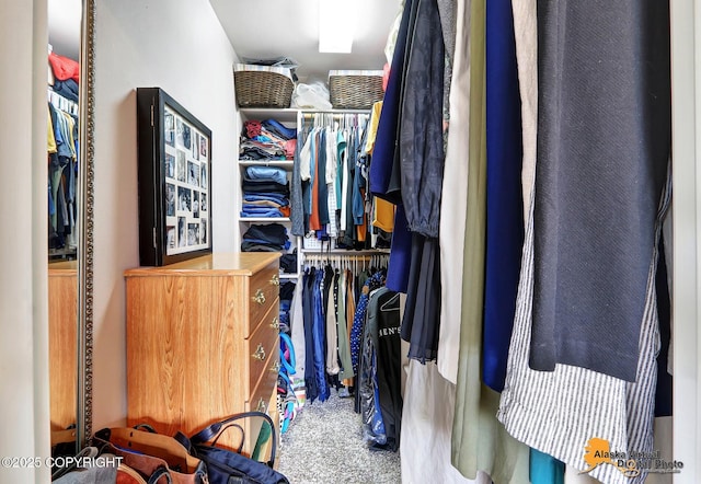 spacious closet featuring carpet flooring
