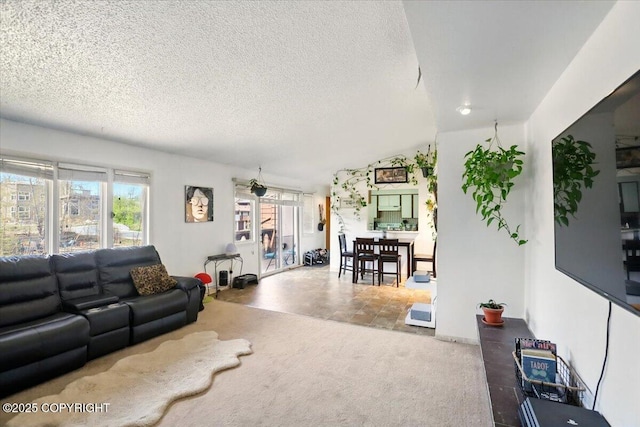 living room featuring a textured ceiling and carpet flooring