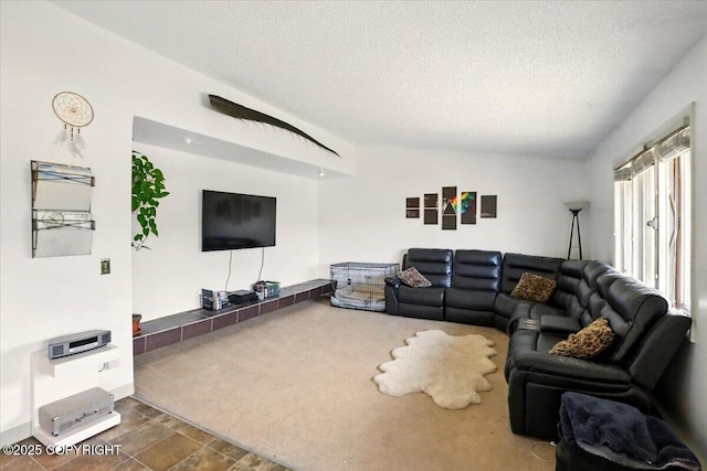 living room featuring a textured ceiling
