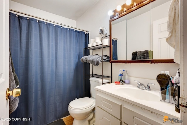 bathroom featuring toilet, vanity, and curtained shower