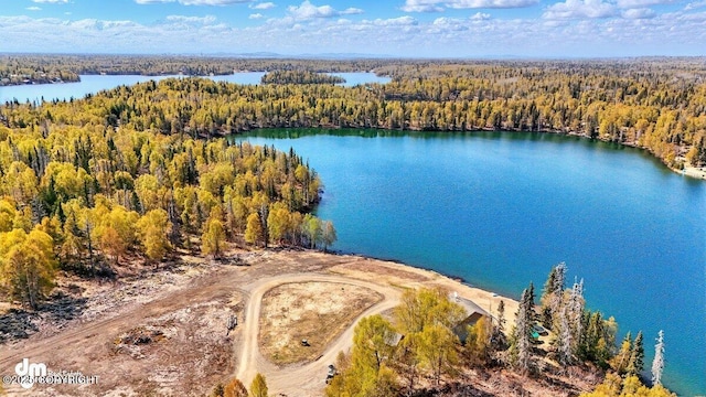 bird's eye view of a heavily wooded area and a large body of water