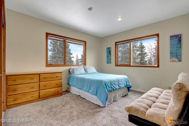 4453 Birdsong Dr, Eagle River, AK 99577 - photo 33