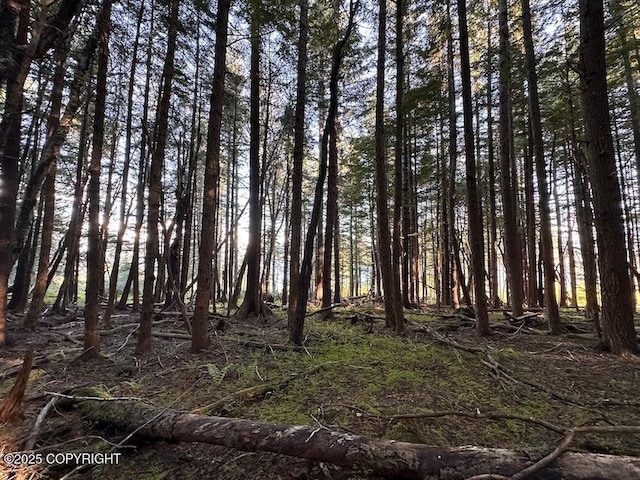 LOT2A Haven Ct, Haines, AK 99827