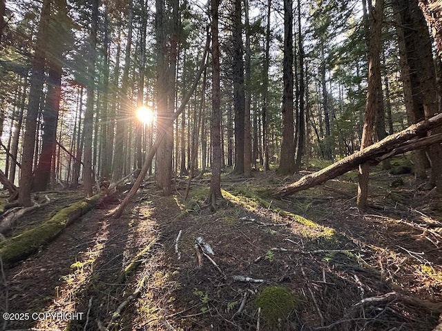 LOT2A Haven Ct, Haines, AK 99827