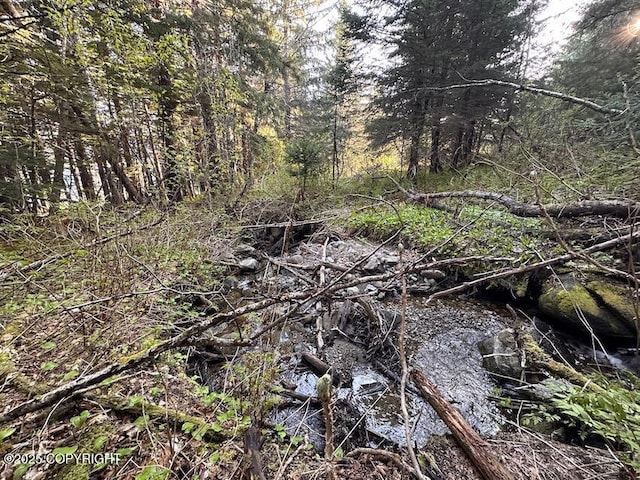 LOT2A Haven Ct, Haines, AK 99827