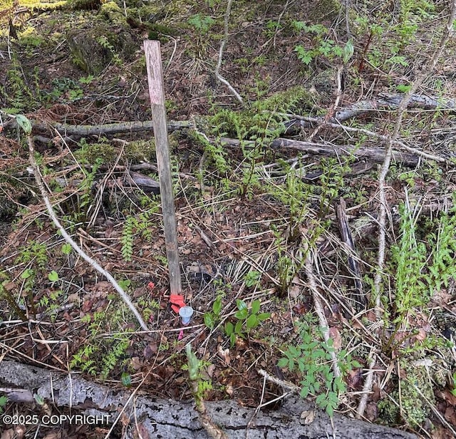 LOT2A Haven Ct, Haines, AK 99827