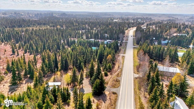 34211 N Fork Rd, Anchor Point, AK 99556
