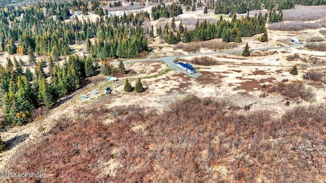 34211 N Fork Rd, Anchor Point, AK 99556