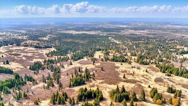 34211 N Fork Rd, Anchor Point, AK 99556