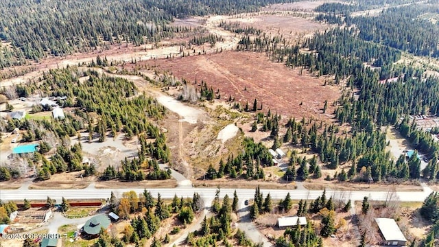 34211 N Fork Rd, Anchor Point, AK 99556