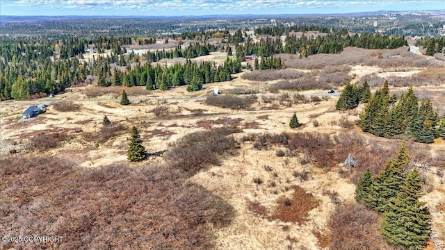 34211 N Fork Rd, Anchor Point, AK 99556
