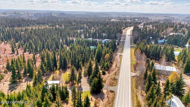 34211 N Fork Rd, Anchor Point, AK 99556