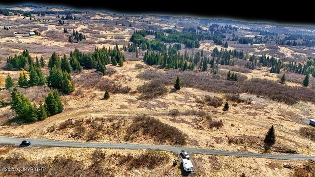 34211 N Fork Rd, Anchor Point, AK 99556
