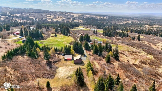 34540 Alamar, Anchor Point, AK 99556 - aerial view of property and surrounding area featuring a forest