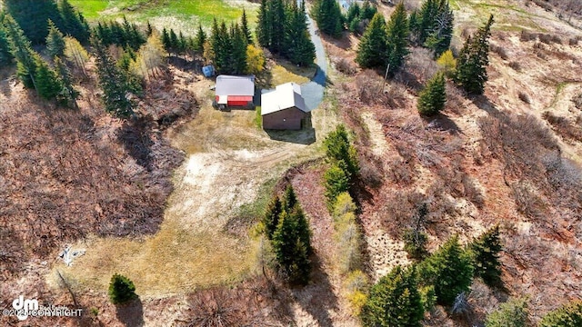 34540 Alamar, Anchor Point, AK 99556 - aerial view of property and surrounding area
