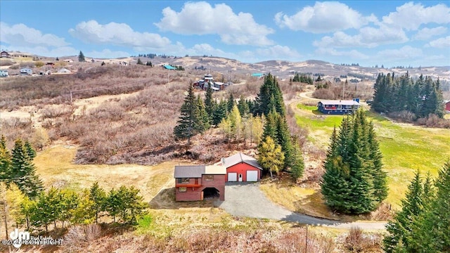 34540 Alamar, Anchor Point, AK 99556 - overview of rural landscape featuring a mountainous background