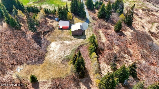 34540 Alamar, Anchor Point, AK 99556 - aerial view of property's location