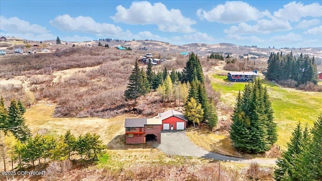34540 Alamar, Anchor Point, AK 99556 - view of rural area featuring a mountainous background