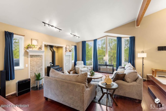 living room with a wood stove, track lighting, plenty of natural light, and dark wood-style floors