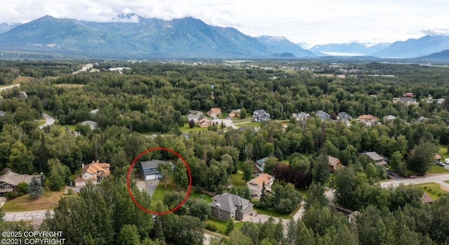 drone / aerial view of a mountainous background and a forest