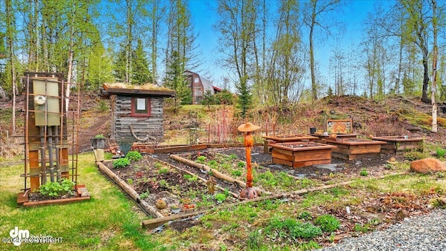 view of yard with a garden
